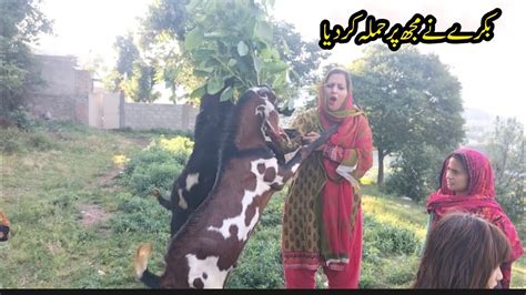 Pakistan Women Life In Punjab 🏞️ Village The Most Beautiful Village Life In Pakistan Youtube