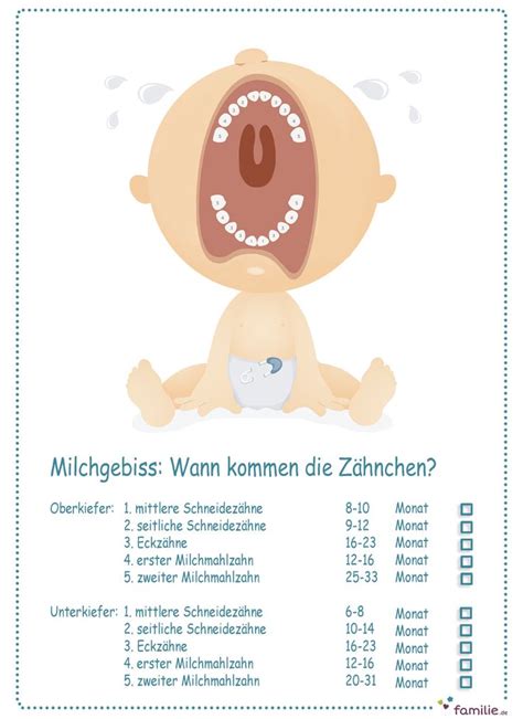 Es gibt keinen allgemeingültigen zeitpunkt, wann das erste zähnchen durchbricht. Milchgebiss: Wann kommen Babys Zähne | Babies