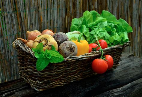 Légumes frais surgelés en conserve lequel choisir