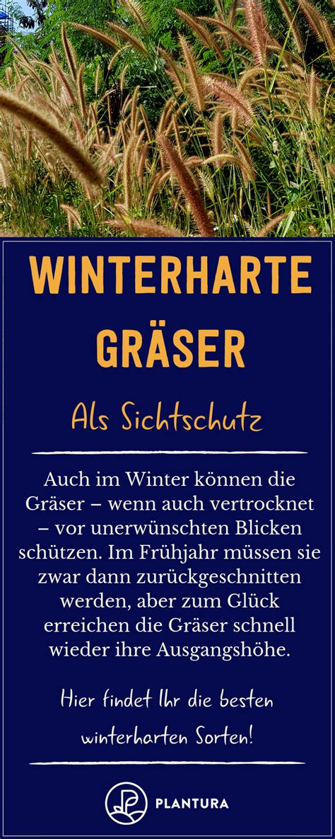 Maybe you would like to learn more about one of these? Winterharte Gräser: Sortenwahl & richtige Pflege ...