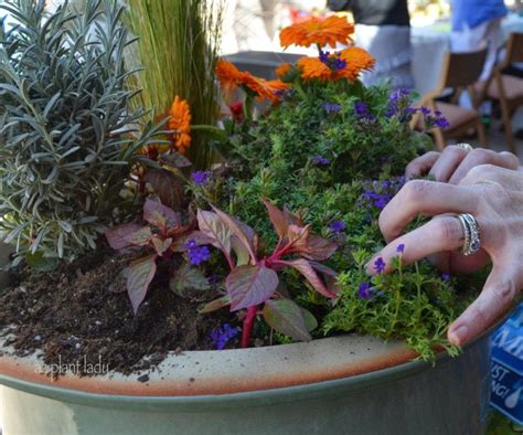 Creative Container Gardening Tips Laptrinhx News