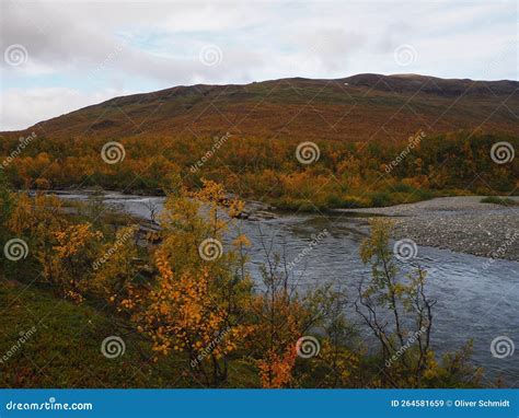 Landscape Picture Of A River In Abisko National Park The Swedish Part