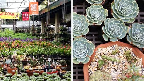 Thank you for visiting our website. LOOK: A Secret Garden Center In Quezon City | RL