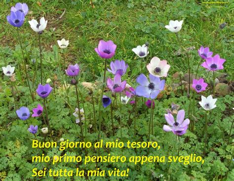 FRASI DI BUONGIORNO | MESSAGGI DOLCI