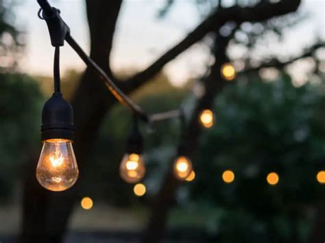 Rope Light Ideas With Pictures Designs And More For 2023 Own The Yard