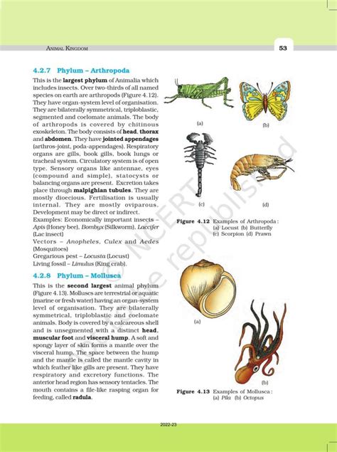 Ncert Book For Class 11 Biology Chapter 4 Animal Kingdom