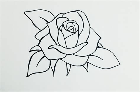 Basic Rose Drawing At Explore Collection Of Basic
