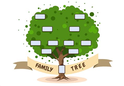 Modelo de árvore genealógica em fundo branco Vetor no Vecteezy