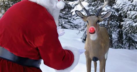 woman reveals incredible revelation about santa s reindeer it s all in the antlers mirror online