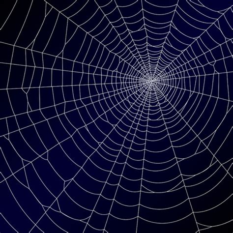 Vector Spider Web Design Background Graphics Vector Background Free
