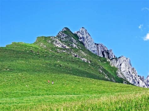 Alpine Pastures And Meadows On The Slopes Of Alpstein Mountain Range