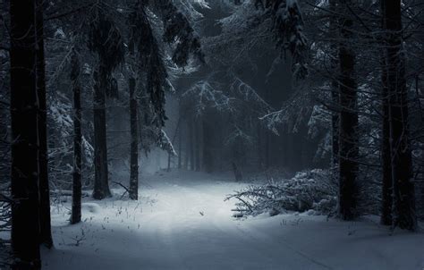 Wallpaper Winter Snow Forest Winter Aesthetic Nature Aesthetic Dark