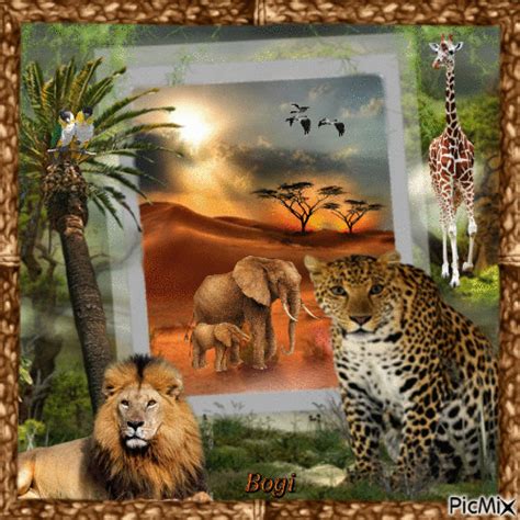 Wild Animal World Free Animated  Picmix