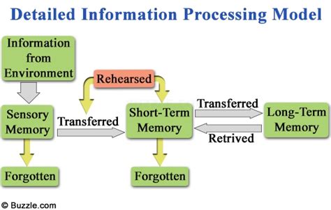 A Well Illustrated Overview On The Information Processing Theory