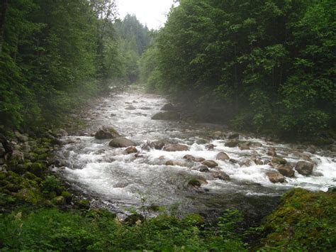 The park boasts a wide variety of. 4.Lynn Valley - picture from trail down in the valley