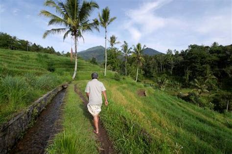 UNESCO World Heritage Centre Document Cultural Landscape Of Bali Province The Subak System