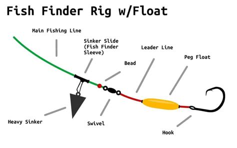 Fish Finder Rig Everything You Need To Know Juran Adventures