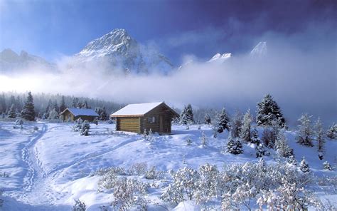 Winter Full Hd Wallpaper And Background Image 1920x1200 Id336296