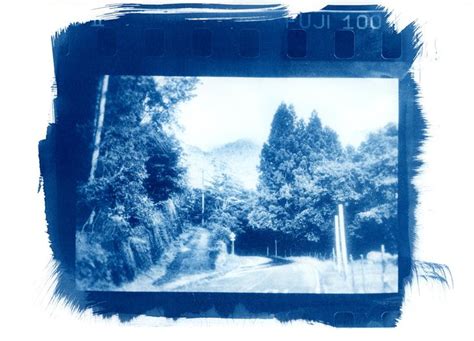 Cyanotype Print Made On An Old Photographic Enlarger Directly From An
