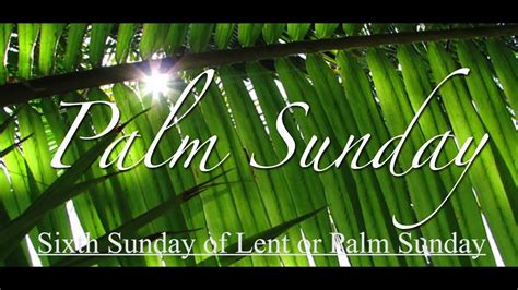 6th Sunday Of Lent Palm Sunday Konkanni Sermon By Fr Domnic Carvalho