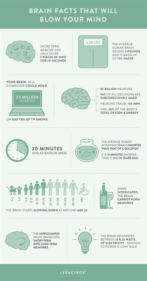 25 Brain Facts That Will Blow Your Mind Infographic Legacybox