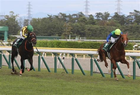 3,484 likes · 46 talking about this · 2,025 were here. 【新潟大賞典】トーセンスーリヤ重賞初挑戦で初V 横山和が好 ...