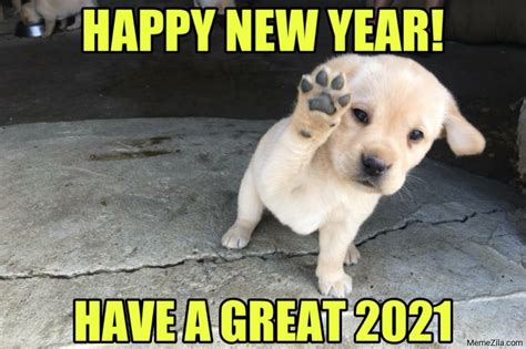Happy New Year Have A Great 2021 Meme