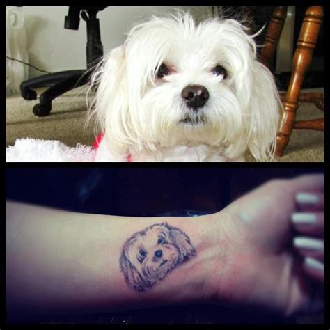 Dog Portrait Tattoo Pictures At Cute Tattoos New