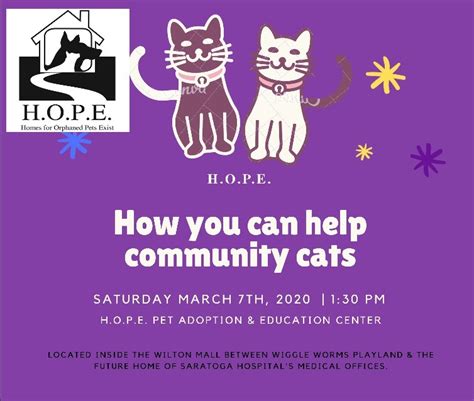How You Can Help Comminity Cats Hope
