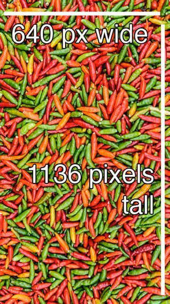 44 Phone Wallpaper Dimensions On Wallpapersafari