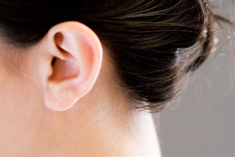 Detached Connected Earlobes Or Are They Detached And Dangly Betoniks