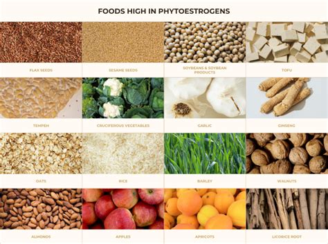 Can Phytoestrogens Help With Hot Flashes Solgar