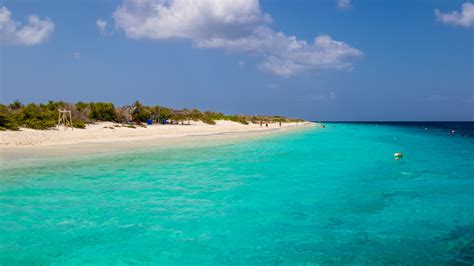 Wat Te Doen Op Bonaire Tips Tui At Home