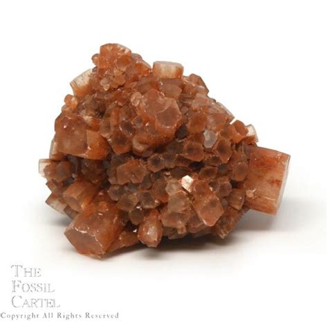 Welcome To The Fossil Cartel Fine Jewelry Crystals Minerals Fossils And More Aragonite