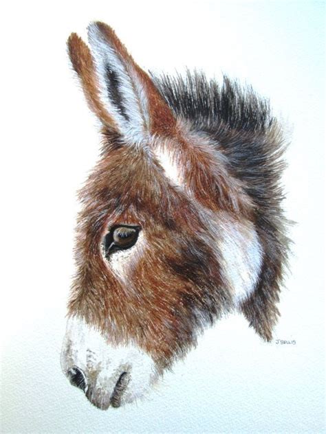 17 Best Images About Donkey Paintings On Pinterest Twin Swords And