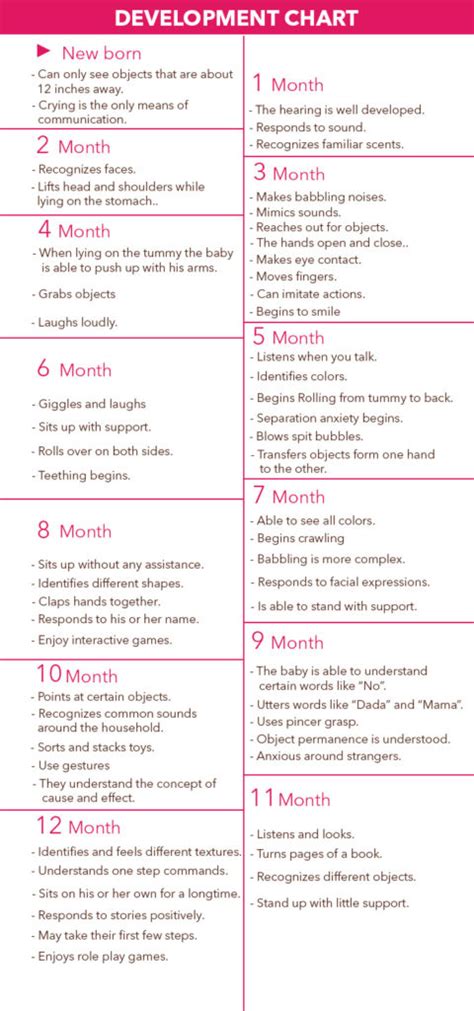 1 Year Baby Monthly Development Chart Or Milestone