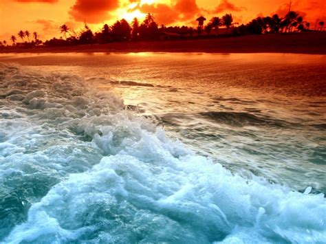 Tropical Beach Sunset Wallpaper Wallpapersafari