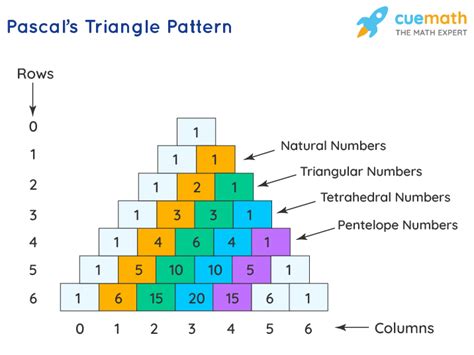 Pascals Triangle Formula Patterns Examples Definition