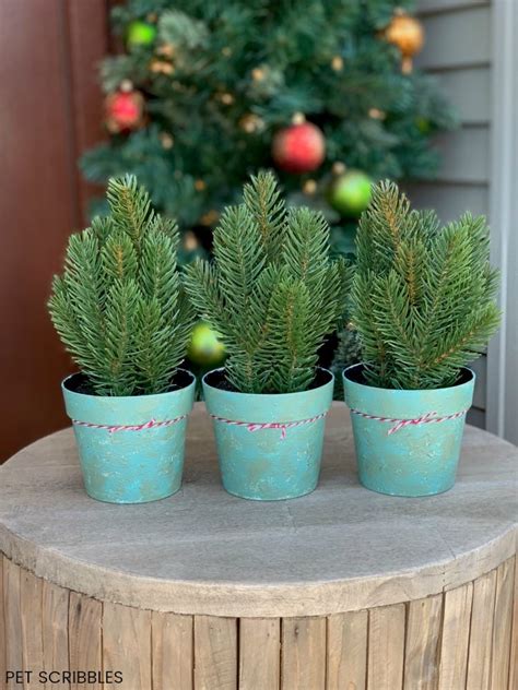 Plastic plant pots provide economical and suitable containers for a variety of both indoor and outdoor plants. Chalk Paint on Plastic Pots - An Amazing Makeover! - Pet ...