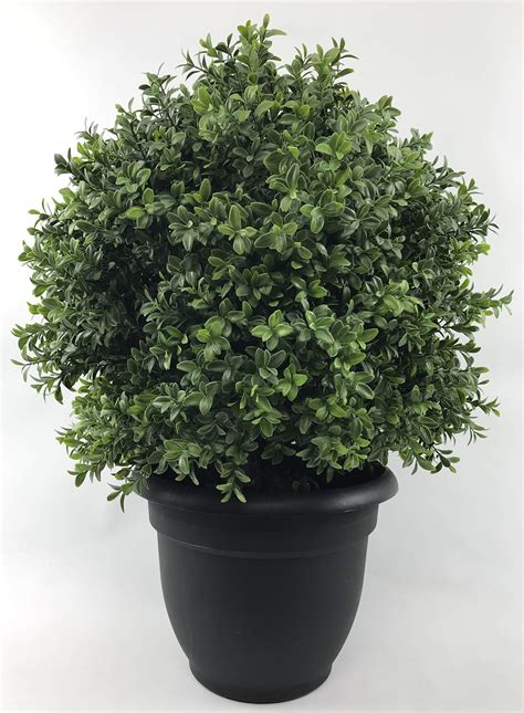Buy Silk Tree Warehouse Company Inc Two 24 Inch Tall Outdoor Artificial
