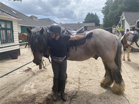 Today's belgian is a big, powerful fellow that retains the drafty middle, a deep, strong foot, a lot of bone, the heavy. Do we like Belgian Draft horses here? : Equestrian