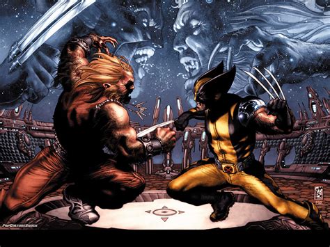 Wolverine Vs Sabretooth