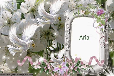 Aria Name Wallpapers Aria ~ Name Wallpaper Urdu Name Meaning Name Images Logo Signature