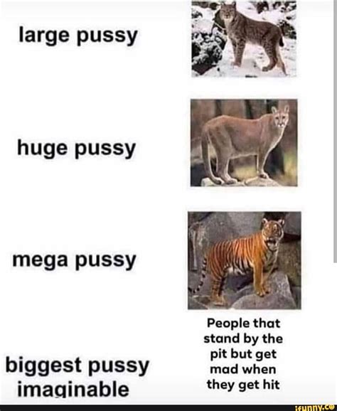 Large Pussy Huge Pussy Mega Pussy Biggest Pussy By Pit But Get Mad When Ifunny