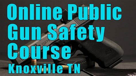 Online Public Gun Safety Course Online Public Handgun Safety Class Gun