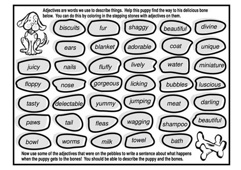 Adjectives Used To Describe A Dog