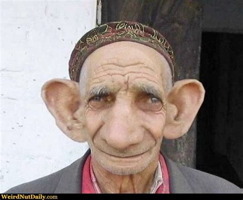 Funny Pictures Weirdnutdaily Big Ears Dude Witze Lustig Lustig