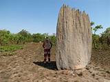 Images of Magnetic Termite Mounds