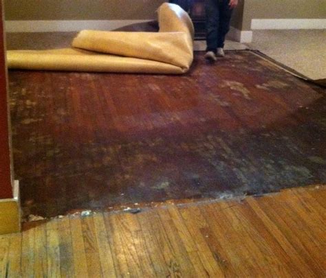 While genuine wood flooring parquet certainly has some advantages, it may not always be the best possible option. flooring - How can I remove carpet adhesive from hardwood ...
