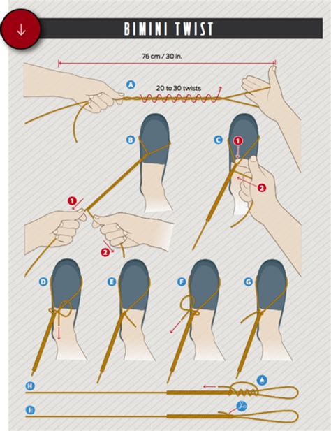How To Tie A Bimini Twist Fishing Knot Illustration Best Fishing Knot